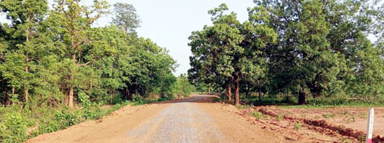 road-reaches-abujhmad-cg