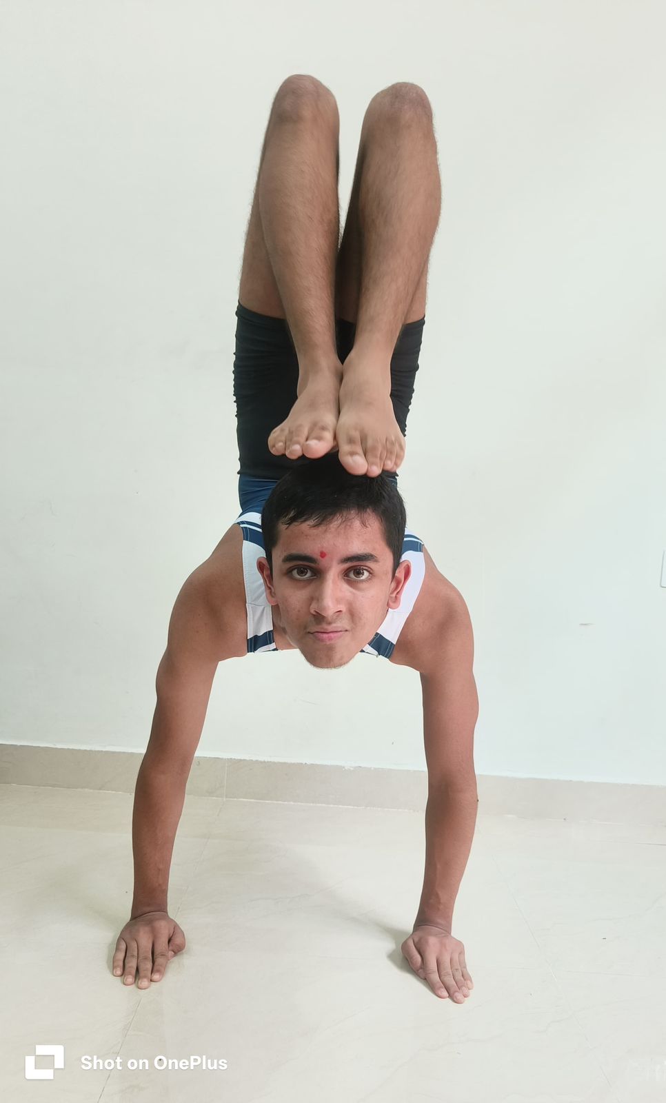 kangra-yoga-yashovardh-bestan