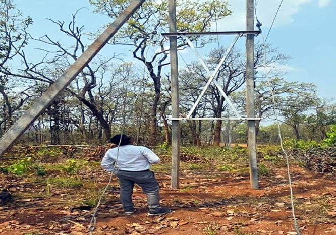 electricity-reaches-forest-are