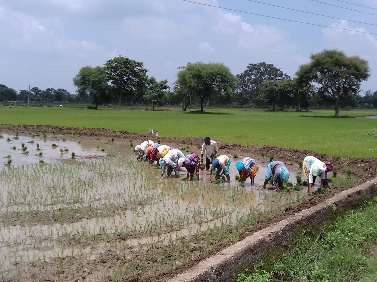 lack-of-rain-hampers-farming