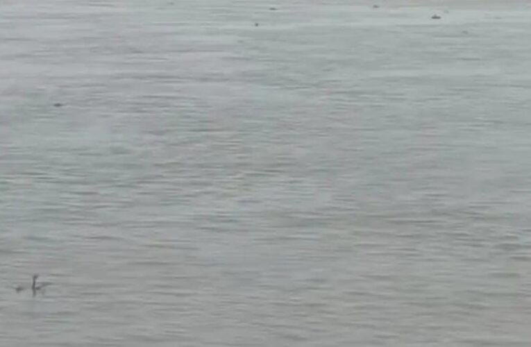 देवरिया: सरयू नदी का जलस्तर बढ़ा, तटीय गांवों में बाढ़ का खतरा, प्रशासन अलर्ट