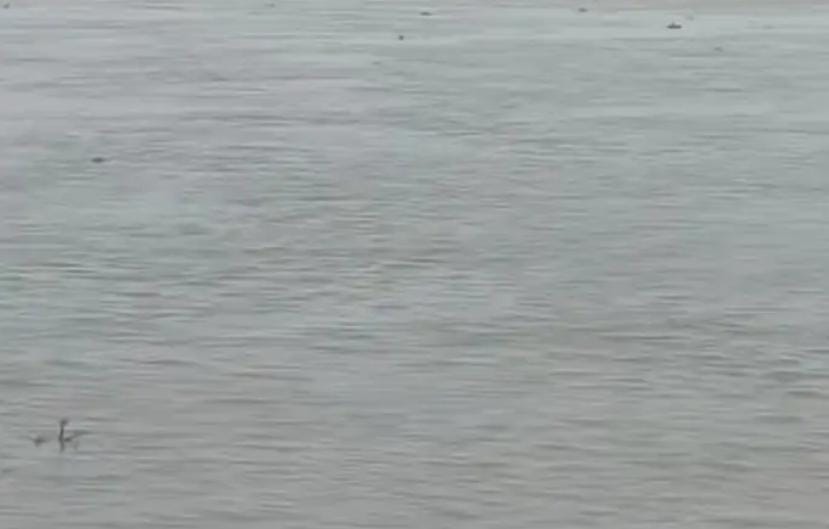 deoria-saryu-river-water-leve