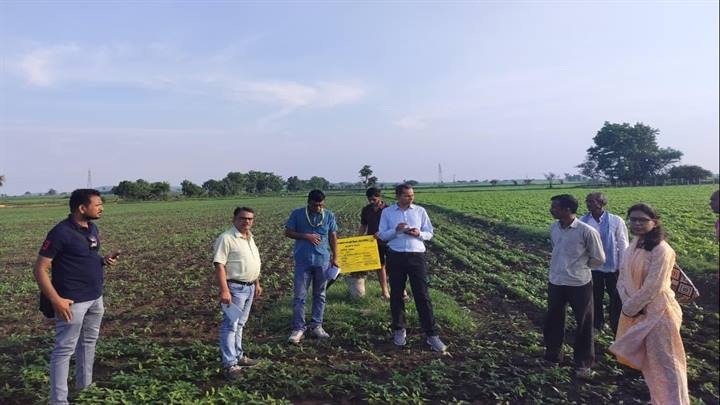 mp-vidisha-central-officials-inspected-pulses-self