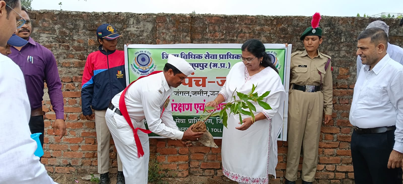 a-tree-plantation-drive-and