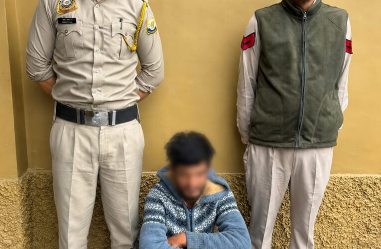 सात साल पुराने चोरी के मामले में उद्घोषित अपराधी गिरफ्तार