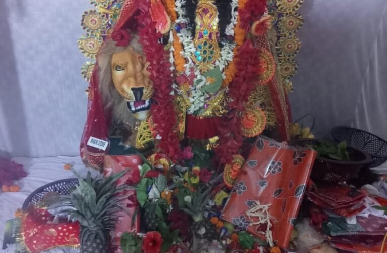 श्रद्धापूर्वक हुई मां विपदतारिणी की पूजा-अर्चना