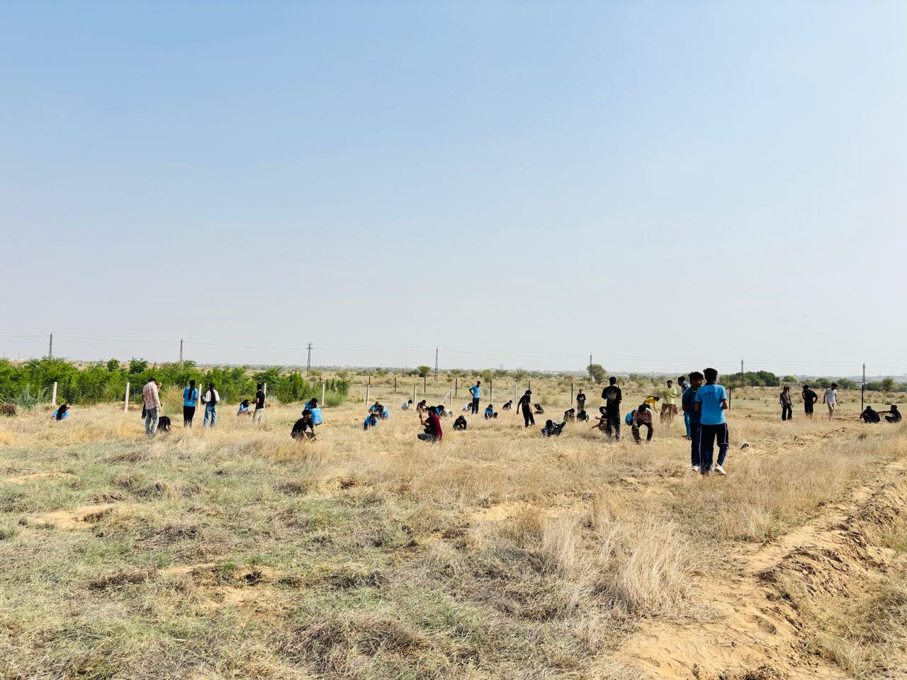 bkn-khejri-plantation
