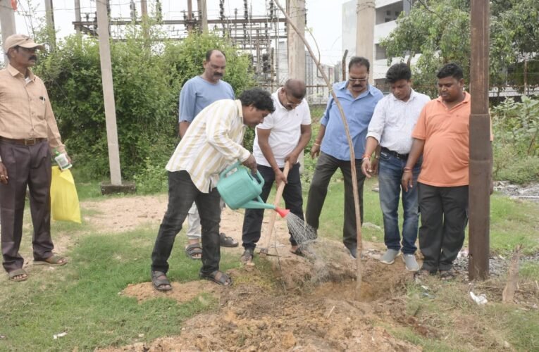 हरित कोरबा अभियान जारी, सुनालिया पुल मोड़ से मल्टीलेवल पार्किंग तक किया गया वृक्षारोपण