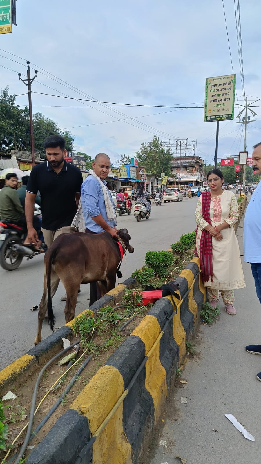 korba-campaign-stray-cattle-korba