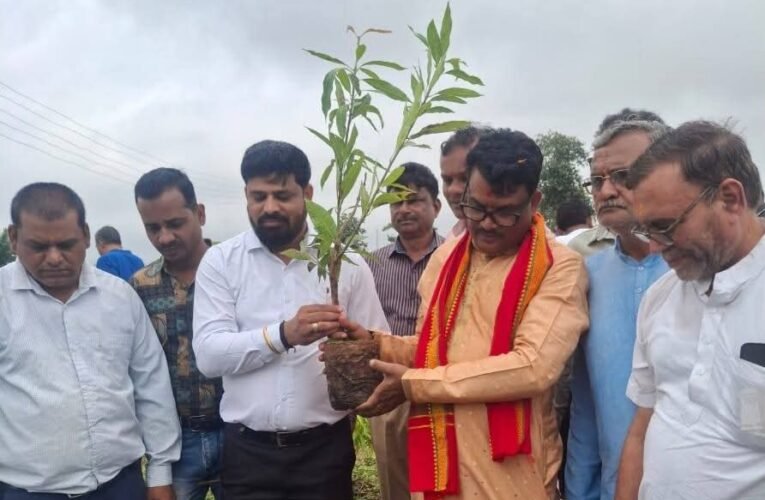 आलीराजपुर: किसानों की समृद्धि और पर्यावरण संरक्षण का आधार है आम