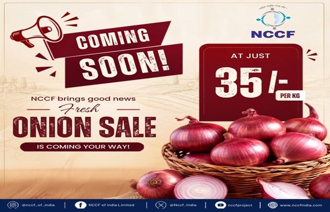 kanda-express-delhi-wednesday-800-tonnes-onion