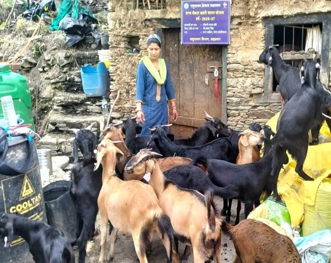 uk-animal-husbandry-self-employment-scheme