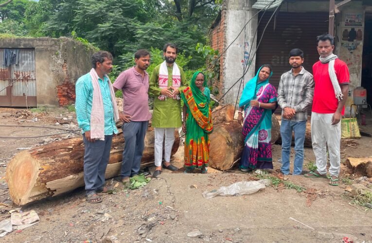 सड़क किनारे के सूखे पेड़ों हटाने में जुटा वन विभाग
