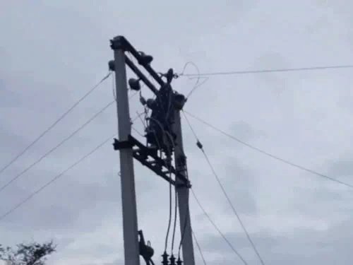 dispute-power-supply-woman-