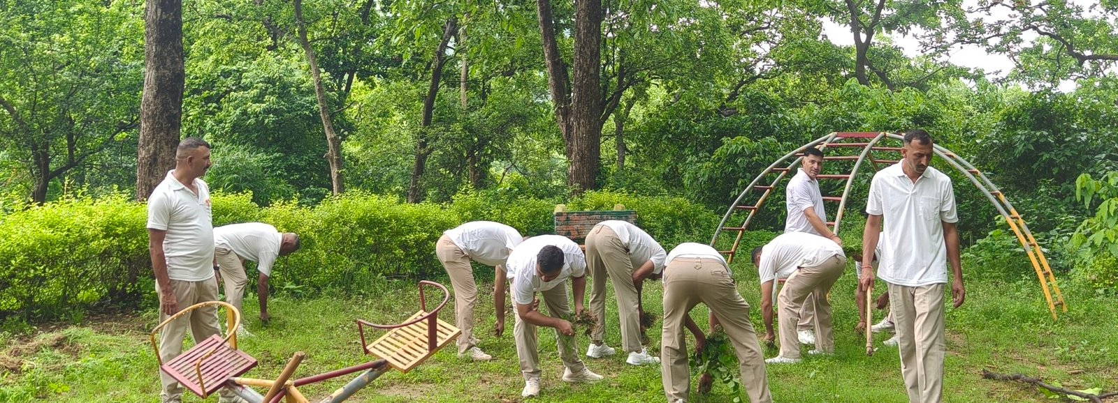 plantation-target-forest