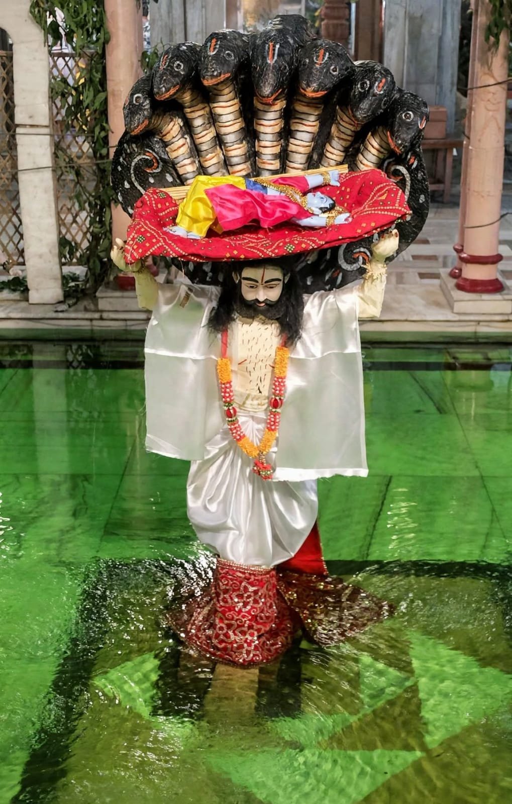 up-prayagraj-krishna-janmastmi