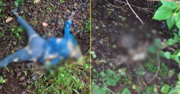sensation-in-ratlam-after-discovery-of-a-young-man