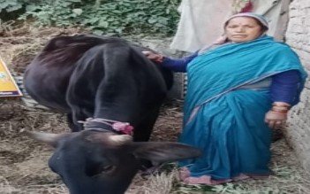 kamala-changed-picture-milk