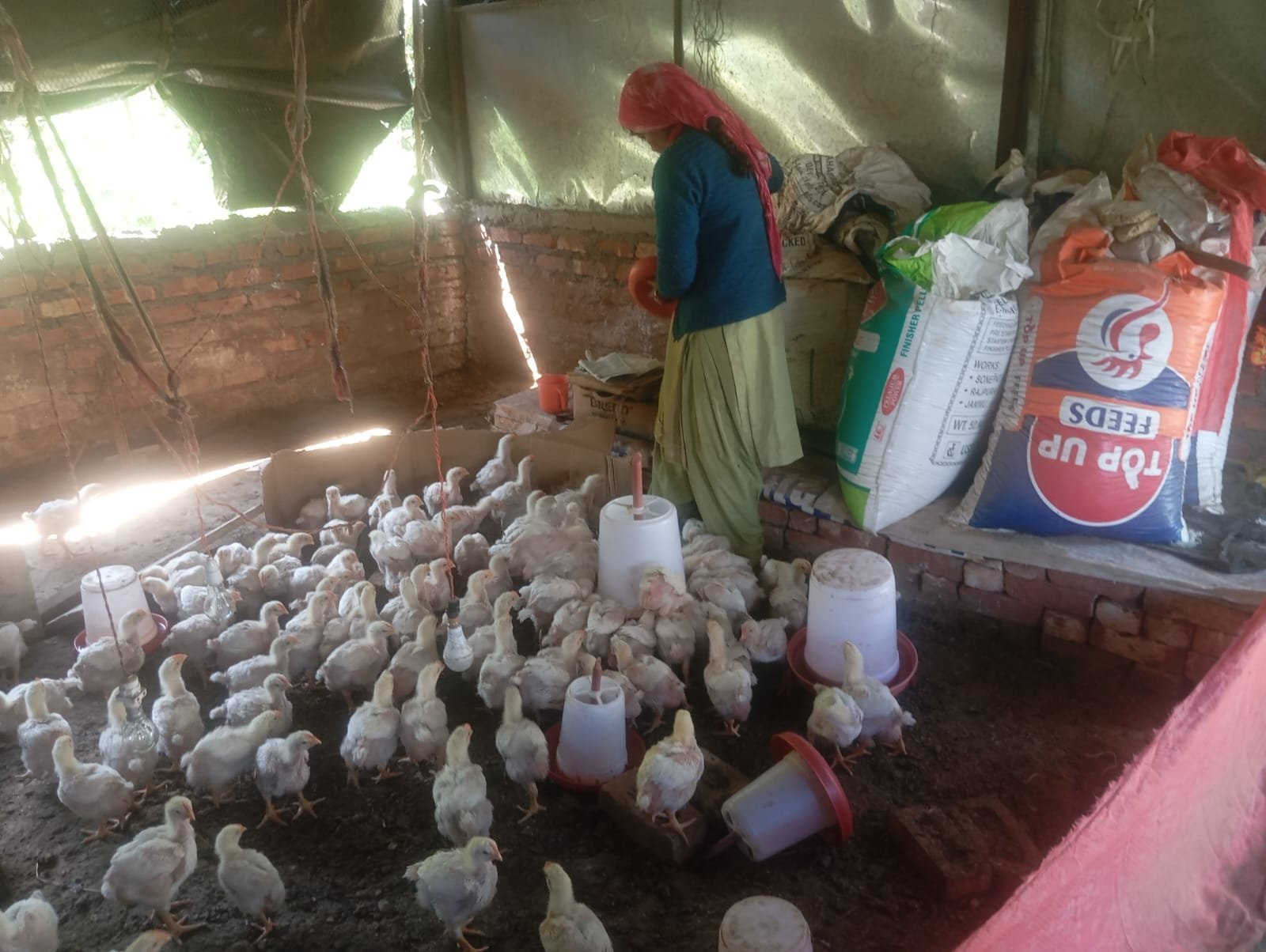 rudraprayag-women-poultry