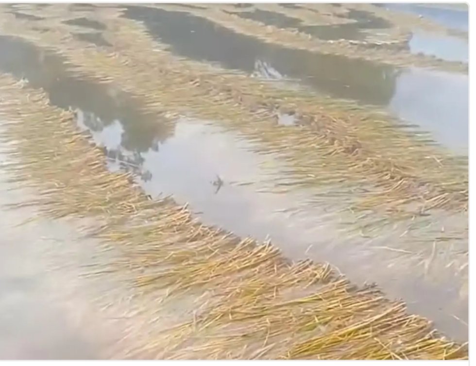 up-fatehpur-damage-caused-by-rain